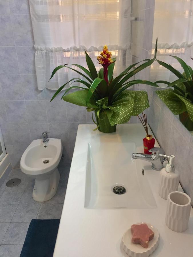 Vesuvio House Appartamento Indipendente E Centrale Sant'Agnello Dış mekan fotoğraf
